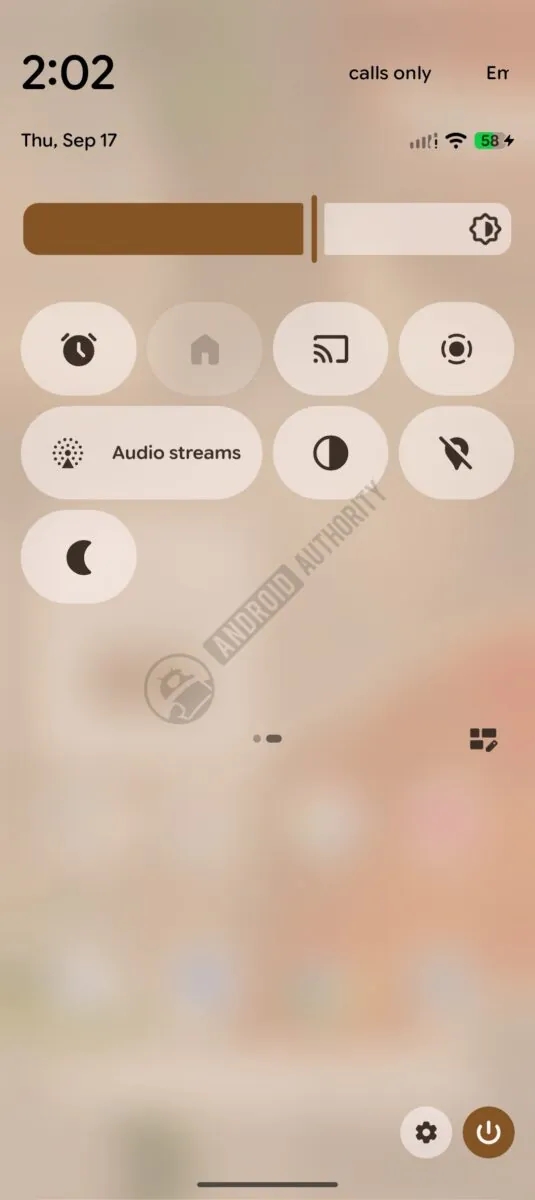 Il riquadro 'Streaming Audio'