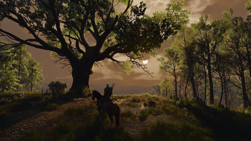 Sono un fan del ray-tracing, ma questo non vuol dire che ce ne sia sempre e comunque bisogno. Se questi sono i risultati senza, stavolta gli preferisco il frame-rate. In attesa di una possibile, migliore, implementazione futura