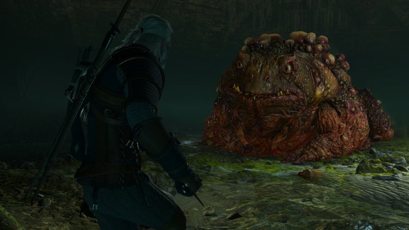 The Witcher 3: Wild Hunt Remastered