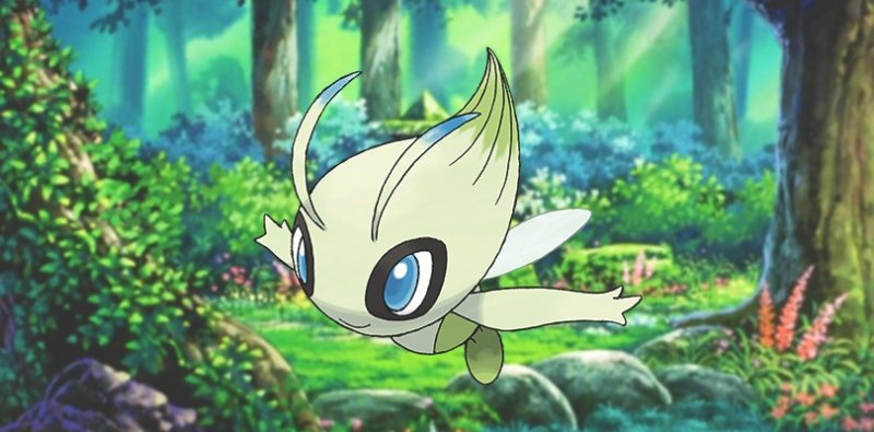 Un Celebi nel bosco