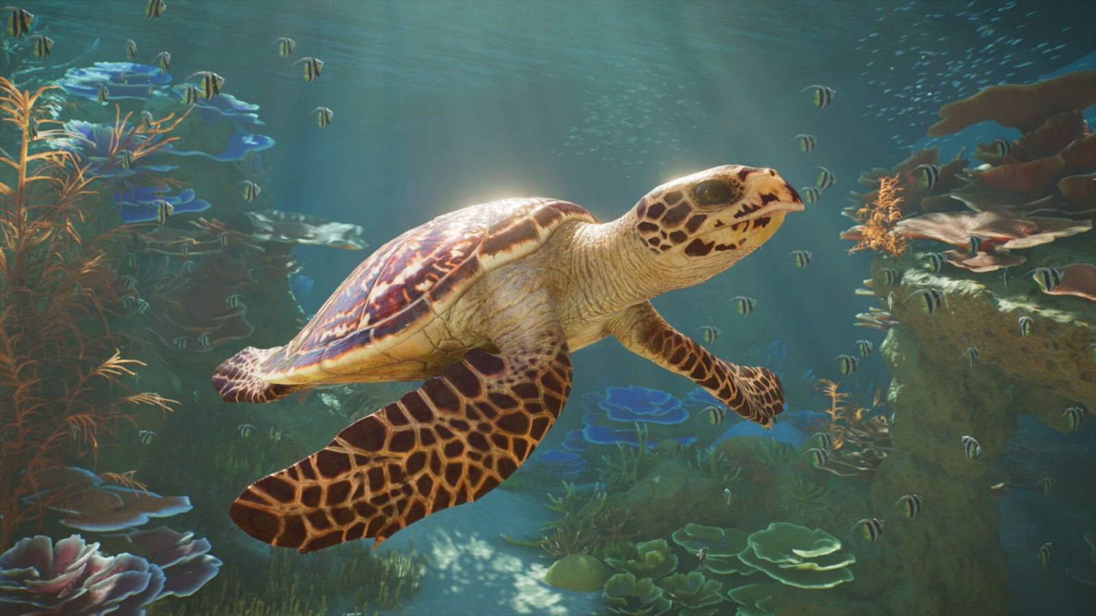 Planet Zoo 2 è disponibile: oltre 130 animali, uccelli in volo e specie acquatiche inedite