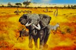 Wild Earth: Africa - Recensione - Recensione