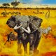 Wild Earth: Africa - Recensione